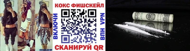 Купить закладки  Магас  COCAIN 99% 