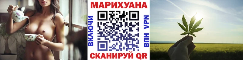 Шишки марихуана семена  Купить закладки  Магас 
